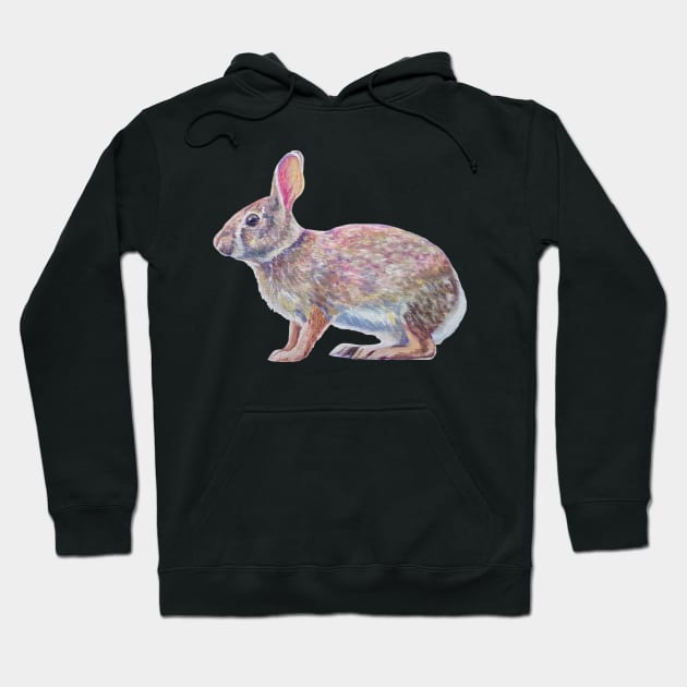 Cottontail rabbit painting (no background) Hoodie by EmilyBickell